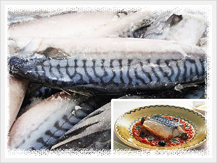 Norway\'s Mackerel Fillet Made in Korea